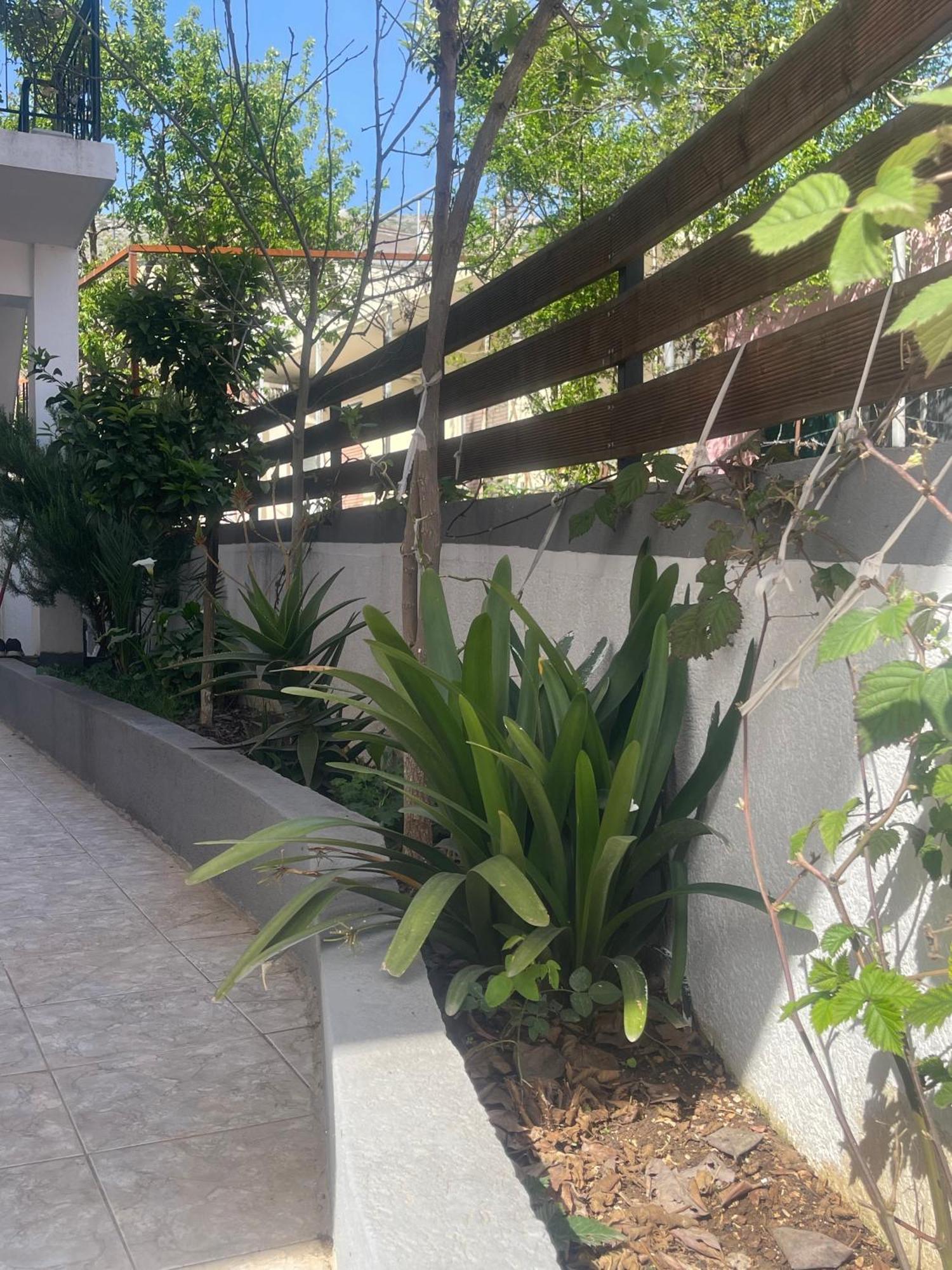 Sunflower Apartments Saranda Kültér fotó